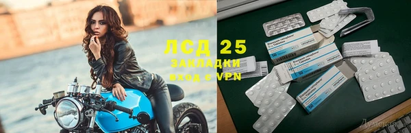 спайс Арсеньев