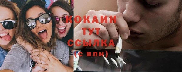 спайс Арсеньев