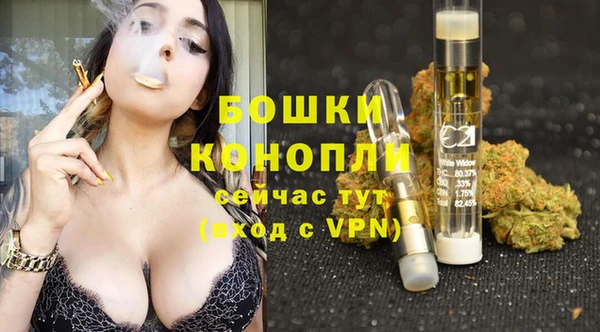 спайс Арсеньев