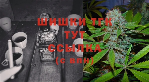 спайс Арсеньев