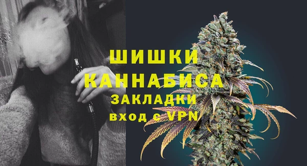 спайс Арсеньев