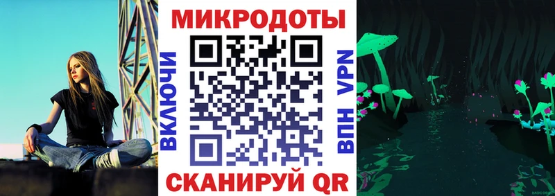 Галлюциногенные грибы Psilocybine cubensis  Трубчевск 